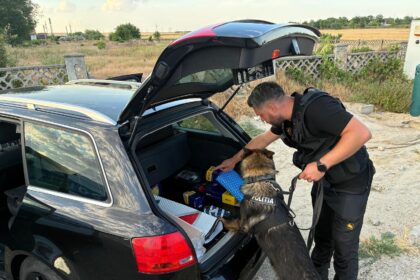controale pe soselele din constanta sofer urmarit de politisti dupa ce a fugit de la control alti conducatori prinsi bauti sau fara permis 6a6f29a43e515