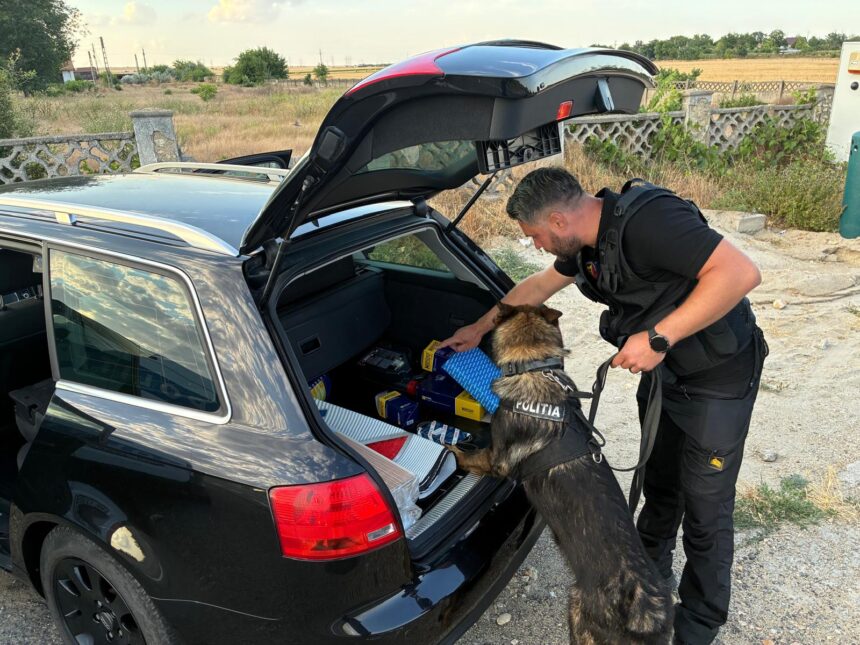 controale pe soselele din constanta sofer urmarit de politisti dupa ce a fugit de la control alti conducatori prinsi bauti sau fara permis 6a6f29a43e515