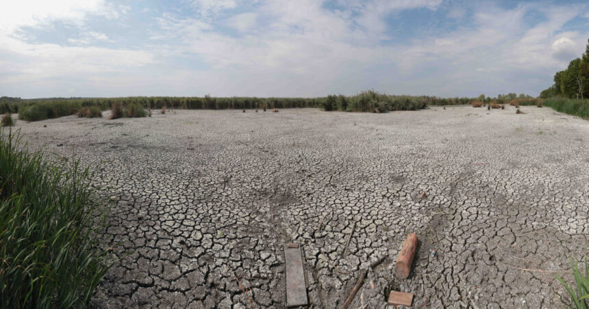 de ce nu ajuta ploile de vara la diminuarea secetei climatolog sunt distribuite neuniform si nu acolo unde este nevoie mai mare 6a76b57405863