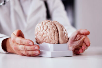 descoperire surprinzatoare celule cerebrale umane cultivate in laborator au simtit trecerea timpului explicatia cercetatorilor 6a85e5bde8ae9
