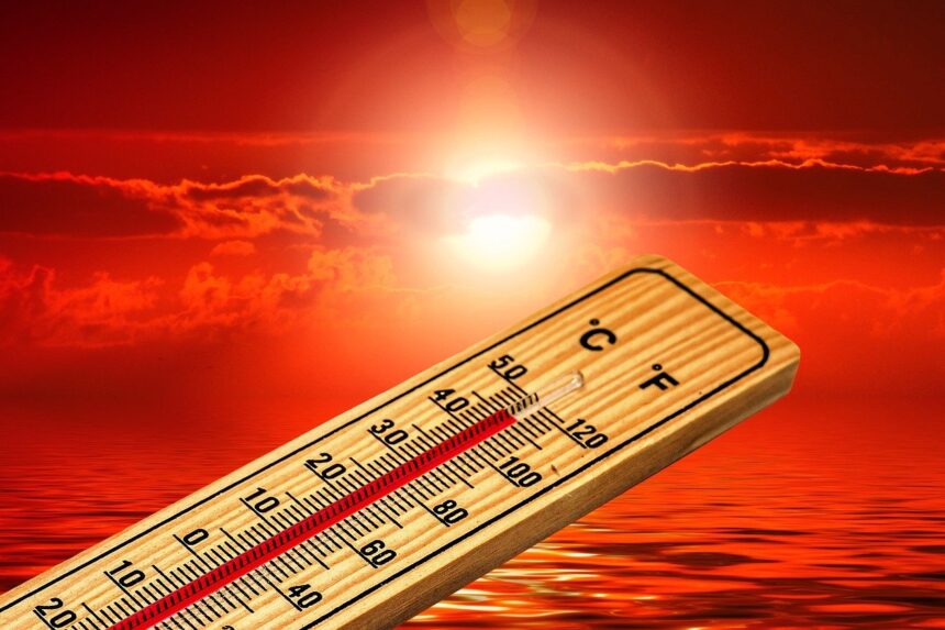 dobrogea se topeste saptamana aceasta la aproape 40 de grade celsius cand ar putea ploua la malul marii 6a70b6f7eea99
