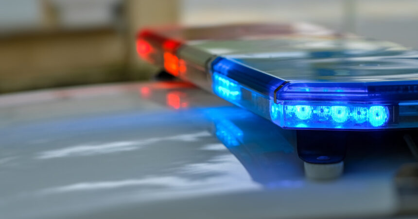 doi barbati arestati in timis dupa ce au oprit o autoutilitara s au dat drept politisti antidrog si au furat 90 000 de lire sterline 6a85d7c2c9438