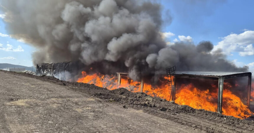 foto incendiul de la centrul de colectare a deseurilor din covasna stins dupa trei zile au ars peste 1 600 de metri patrati 6a85672b30467