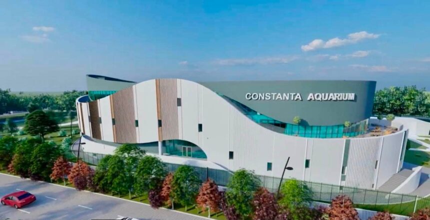 galerie foto pinguini tuneluri subacvatice si bazine spectaculoase cum va arata noul acvariul din constanta 6a74509764bea