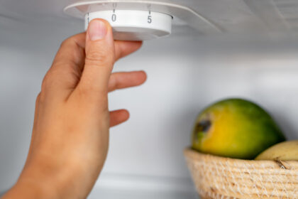 la cate grade trebuie setat frigiderul temperatura care pastreaza alimentele in siguranta si poate reduce consumul de energie 6a75597dc315d