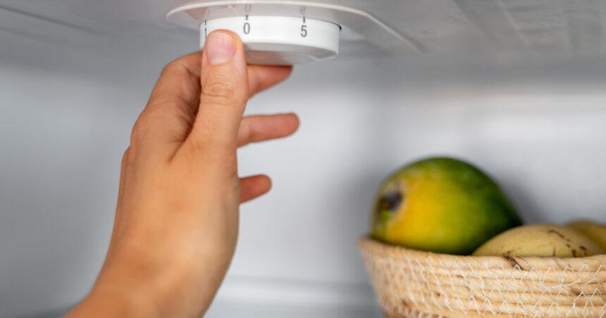 la cate grade trebuie setat frigiderul temperatura care pastreaza alimentele in siguranta si poate reduce consumul de energie 6a75597dc315d