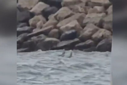news alert fragment dintr o posibila drona observat in mare la costinesti autoritatile au evacuat zona 6a7d658fb583e
