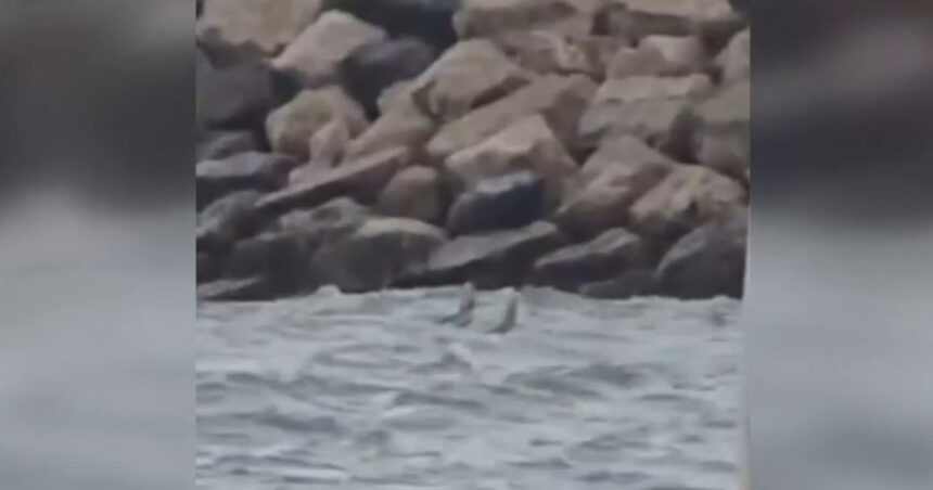 news alert fragment dintr o posibila drona observat in mare la costinesti autoritatile au evacuat zona 6a7d658fb583e