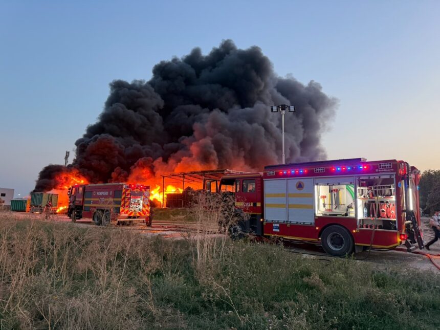pompierii chemati de urgenta a luat foc vegetatia din zona tabara navodari 6a8073d02dadf