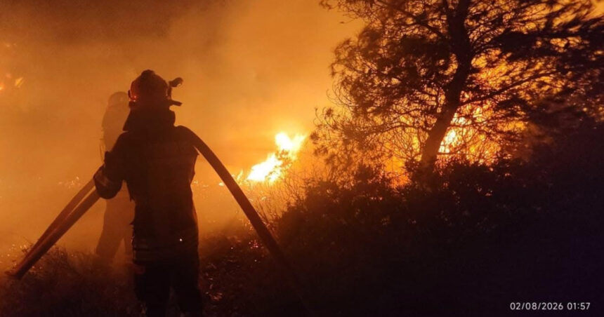 pompierii romani au intervenit la un incendiu de vegetatie si fond forestier din regiunea attica din grecia 6a6ef6a2af152