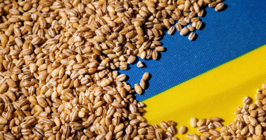 portul constanta esential in exportul cerealelor ucrainene kievul vrea coridor prin republica moldova reuters 6a7ae5bf98ea4