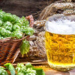 romania in topul producatorilor de bere din ue cat a produs tara noastra in 2025 6a95635ab2096