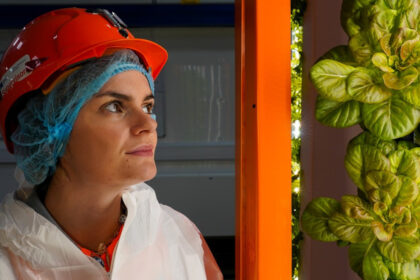 salata cultivata in subteran si ferme la peste 1 000 de metri adancime cum incearca cercetatorii britanici sa rezolve criza alimentara 6a89fd6b885e8