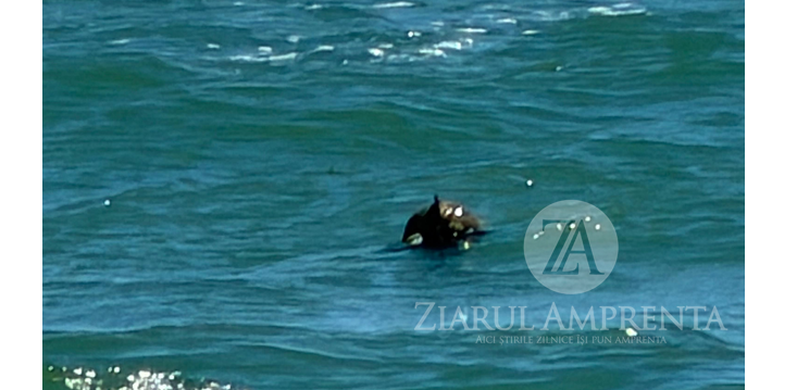 surse un obiect suspect posibil o mina marina a fost observat in mare in zona plajei vadu 6a82f74323fcc