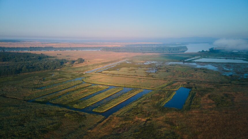 sute de hectare din constanta si tulcea scoase la concesiune de agentia domeniilor statului 6a86275618c7c
