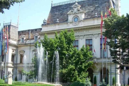 teii din iasi se usuca prematur specialistii avertizeaza ca arborii nu mai au suficient spatiu explicatia primariei 6a8494538a2e9