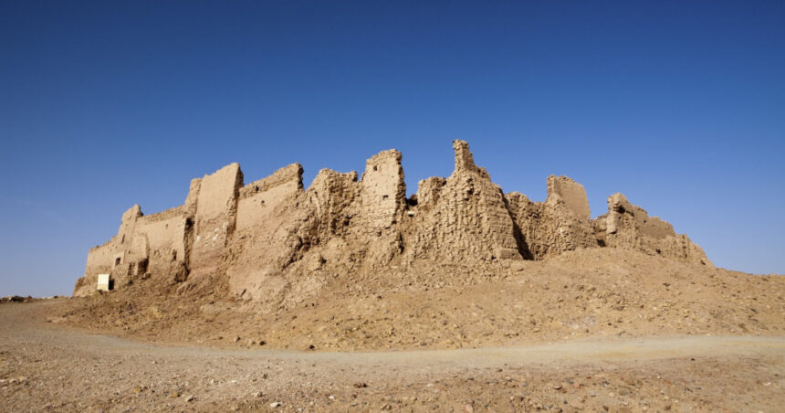 un cimitir de rechini preistorici descoperit in desertul egiptului sapte specii au fost identificate 6a89f65be2ce7