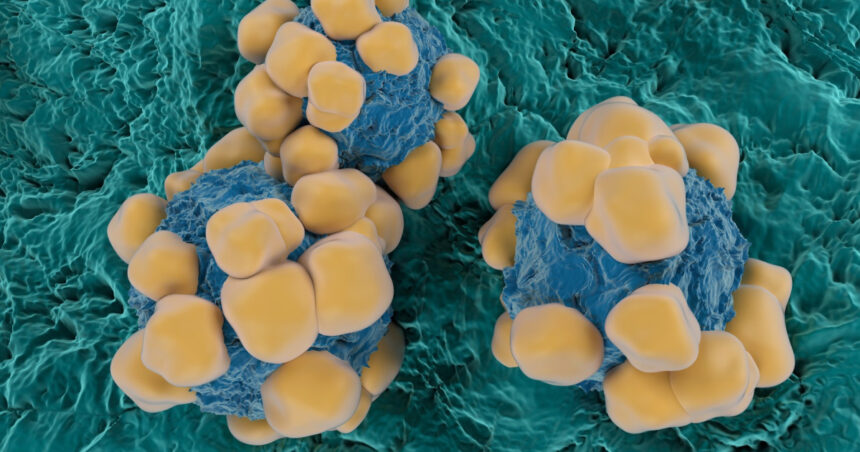 un ingredient activ din viagra ar putea limita raspandirea cancerului studiu 6a718810e5060