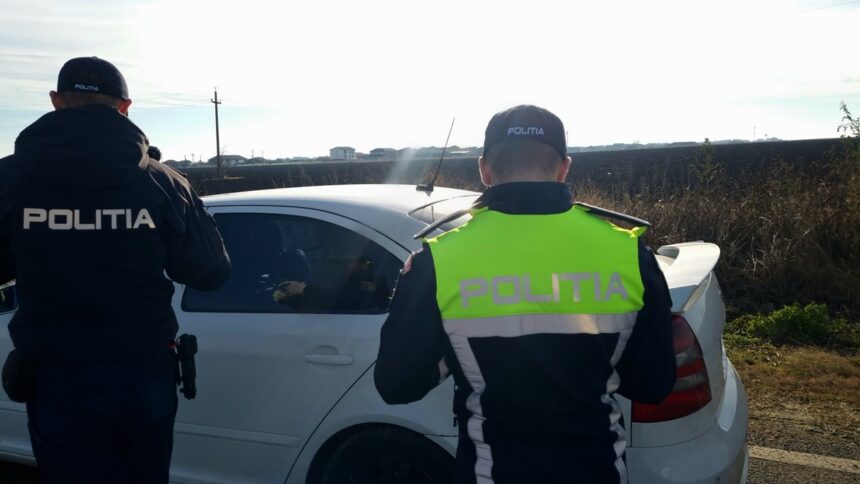 verificari la un adapost de caini din daeni s a intocmit dosar penal pentru schingiuirea si uciderea cu intentie a animalelor 6a86da188e0e4