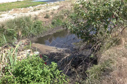 video bomba ecologica la marginea orasului apele uzate de la o statie de epurare din targu jiu ajung direct in rau localnicii cer masuri 6a79a94f15ad9