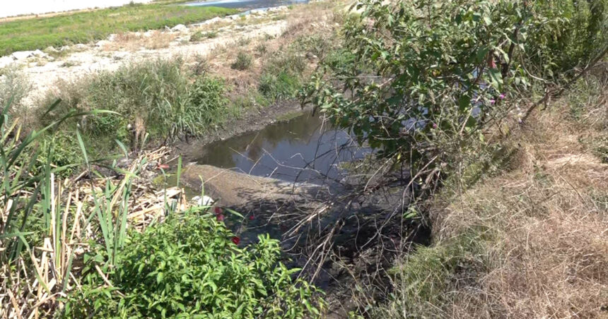 video bomba ecologica la marginea orasului apele uzate de la o statie de epurare din targu jiu ajung direct in rau localnicii cer masuri 6a79a94f15ad9