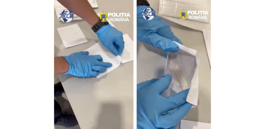 video constanta o femeie a incercat sa exporte cocaina in austria mascatii i au intrerupt afacerile 6a71d0389f0a5