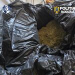 video grupare de trafic de droguri coordonata din penitenciar la constanta sase persoane au fost arestate preventiv 6a8aeec562816