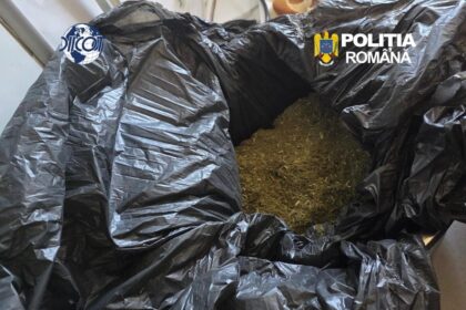 video grupare de trafic de droguri coordonata din penitenciar la constanta sase persoane au fost arestate preventiv 6a8aeec562816