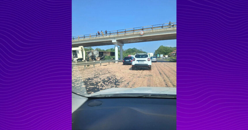 video haos pe a1 bucuresti pitesti un tir incarcat cu carne de pui a lovit un picior de pod iar marfa s a imprastiat pe sosea 6a7c41c34c0b8