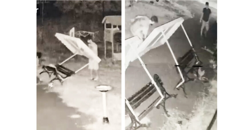 video imagini revoltatoare din tara piticilor de pe strada cumpenei patru tineri surprinsi in timp ce fac praf locul de joaca 6a71dab5a5b7f