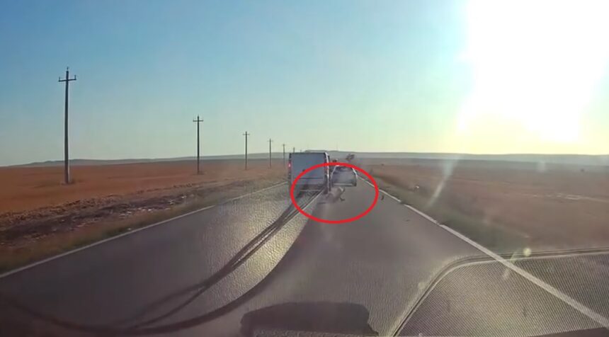 video imagini socante un copil a cazut dintr o masina aflata in mers in tulcea trecea un tir 6a7ada16395f4