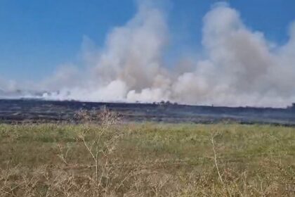 video incendiu de amploare in harsova a luat foc vegetatia pe camp 6a881d9997a96