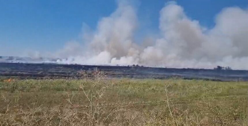 video incendiu de amploare in harsova a luat foc vegetatia pe camp 6a881d9997a96