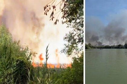 video incendiu de proportii in judetul tulcea fondul forestier de langa chilia veche in pericol 6a83219443e79