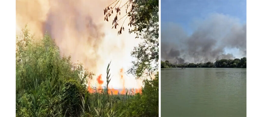video incendiu de proportii in judetul tulcea fondul forestier de langa chilia veche in pericol 6a83219443e79