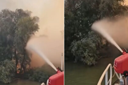 video incendiu puternic in delta dunarii raed arafat interventia pe apa este esentiala focul ameninta fondul forestier 6a83545d6db17