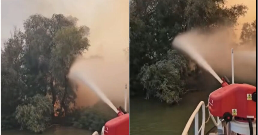 video incendiu puternic in delta dunarii raed arafat interventia pe apa este esentiala focul ameninta fondul forestier 6a83545d6db17