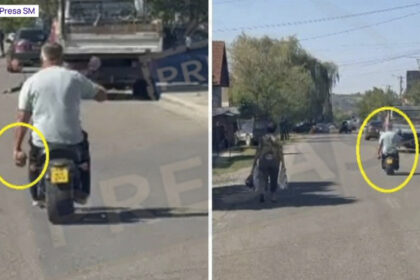 video obuz transportat cu scuterul pana la politie in satu mare viceprimarul unei comune l a carat in mana 6a959492e8e35