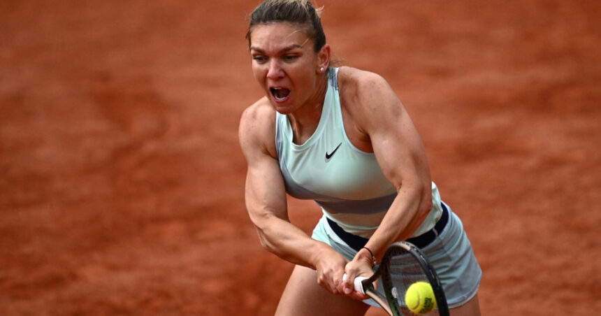 video simona halep inspira cel mai iute ardei romanesc povestea soiului care ajunge la congresul de horticultura din japonia 6a8c4c12aae52