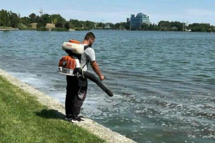 actiuni de delarvizare si dezinsectie in constanta si mamaia 6aab888c91b79