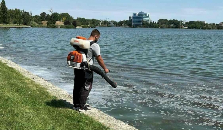 actiuni de delarvizare si dezinsectie in constanta si mamaia 6aab888c91b79