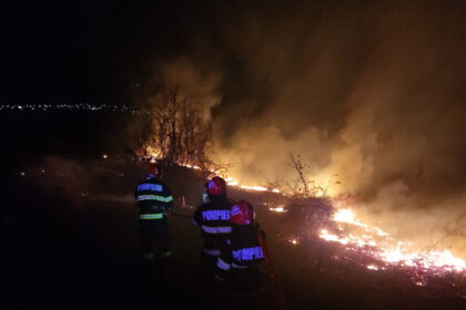 alerta de incendiu de vegetatie la vadu isu dobrogea intervine cu mai multe autospeciale 6abac6ad352df