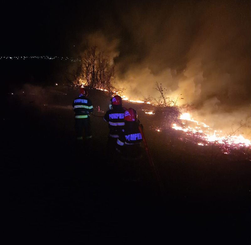 alerta de incendiu de vegetatie la vadu isu dobrogea intervine cu mai multe autospeciale 6abac6ad352df