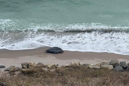 alerta la constanta doua drone au fost gasite la corbu si capu midia 6aa294af7faa2