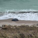 alerta pe plaja de la capu midia resturi de drona neutralizate 6aa26e00ab1b0