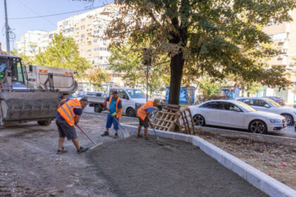calea 13 septembrie se va transforma intr un coridor verde primaria capitalei va planta peste 200 000 de arbori arbusti si plante 6a9c6b74d550a