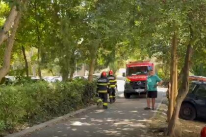 cine e tanara care a cazut de la etaj in tomis nord nu locuia acolo 6a9eae3d16f3d