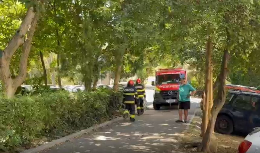 cine e tanara care a cazut de la etaj in tomis nord nu locuia acolo 6a9eae3d16f3d