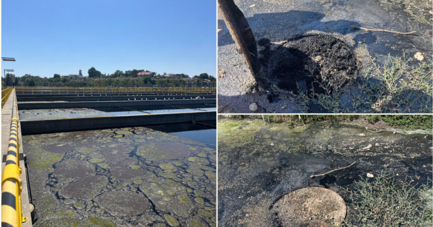 de unde ar fi venit mirosul insuportabil resimtit in bucuresti in luna august garda de mediu indica doua surse si anunta amenzi uriase 6a992a26ec80c