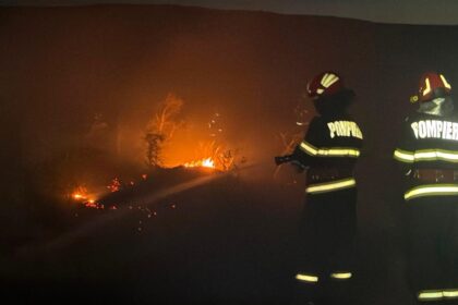 foto incendiu puternic de vegetatie la marginea unei localitati din judetul tulcea 6aa1a1adb5620